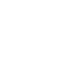 Minderoo Foundation